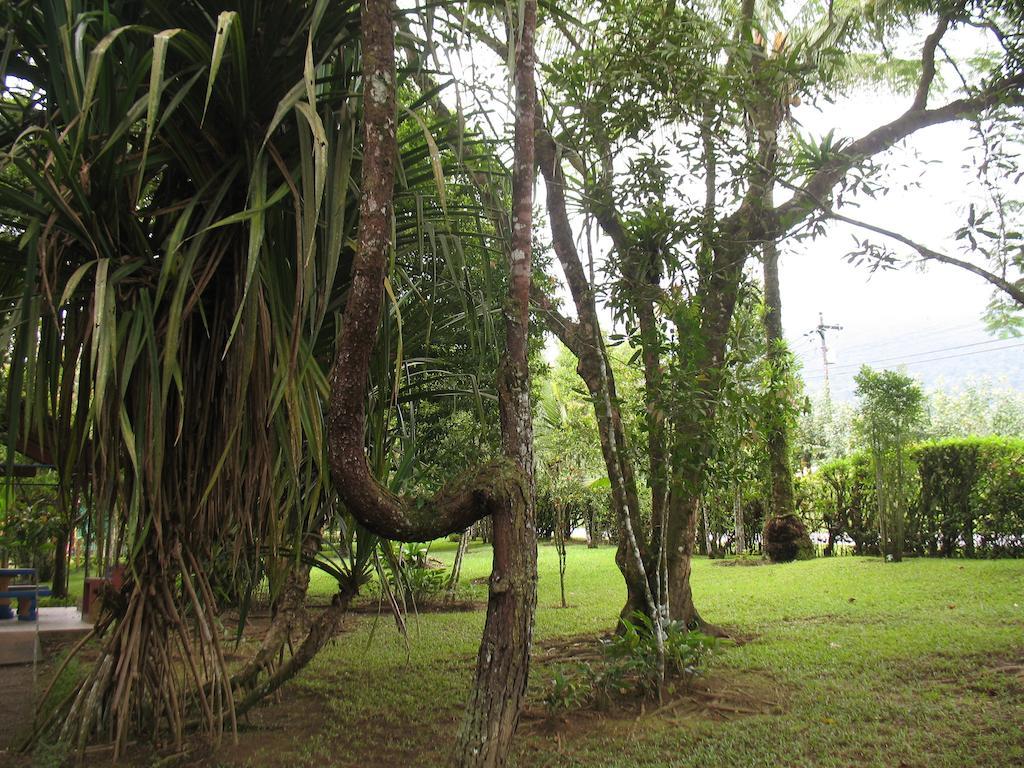 Cerro Chato Ecolodge La Fortuna Ngoại thất bức ảnh