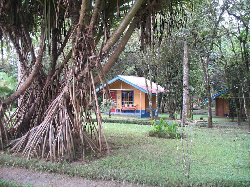 Cerro Chato Ecolodge La Fortuna Ngoại thất bức ảnh