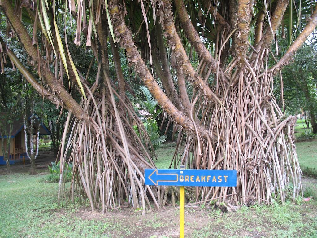 Cerro Chato Ecolodge La Fortuna Ngoại thất bức ảnh