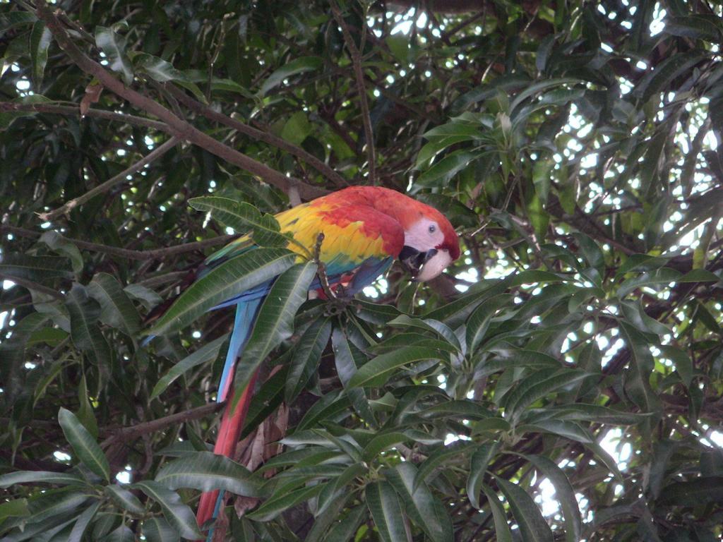 Cerro Chato Ecolodge La Fortuna Ngoại thất bức ảnh